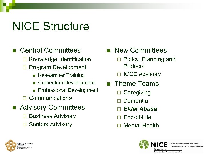 NICE Structure n Central Committees n Knowledge Identification ¨ Program Development Policy, Planning and