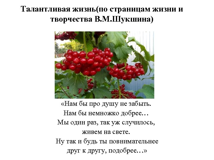 Талантливая жизнь(по страницам жизни и творчества В. М. Шукшина) «Нам бы про душу не