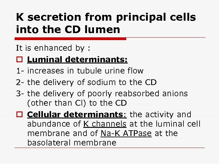 K secretion from principal cells into the CD lumen It is enhanced by :