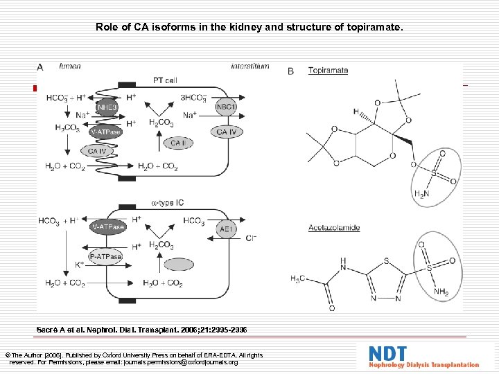 Role of CA isoforms in the kidney and structure of topiramate. Sacré A et