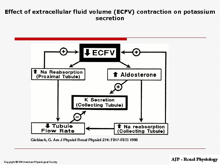 Effect of extracellular fluid volume (ECFV) contraction on potassium secretion Giebisch, G. Am J