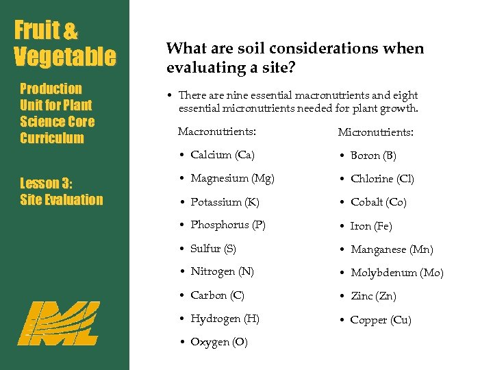 Fruit & Vegetable Production Unit for Plant Science Core Curriculum What are soil considerations