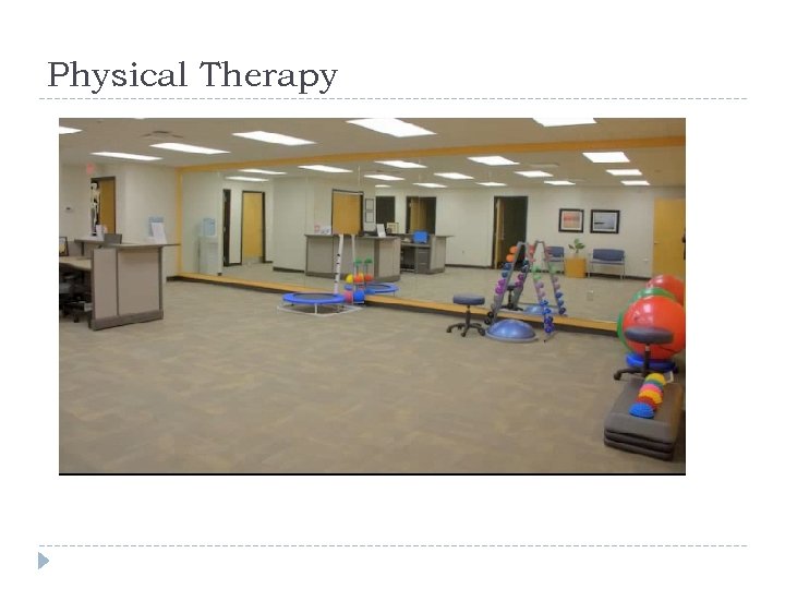 Physical Therapy 