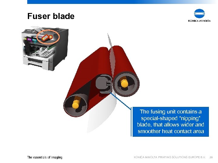 Fuser blade The fusing unit contains a special-shaped “nipping” blade, that allows wider and