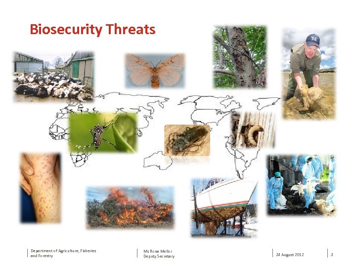 Biosecurity Threats Department of Agriculture, Fisheries and Forestry Ms Rona Mellor Deputy Secretary 24