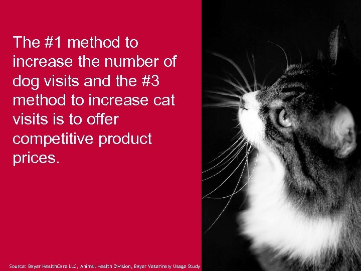 The #1 method to increase the number of dog visits and the #3 method