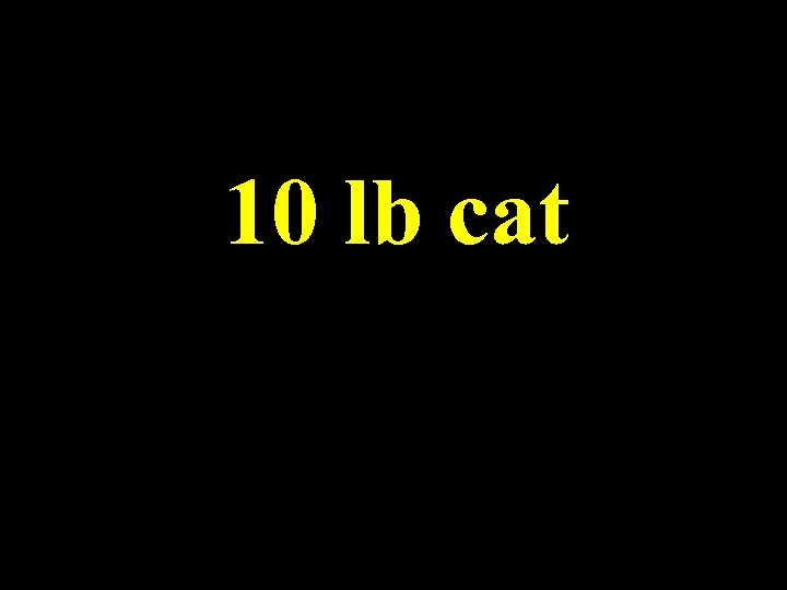 10 lb cat 