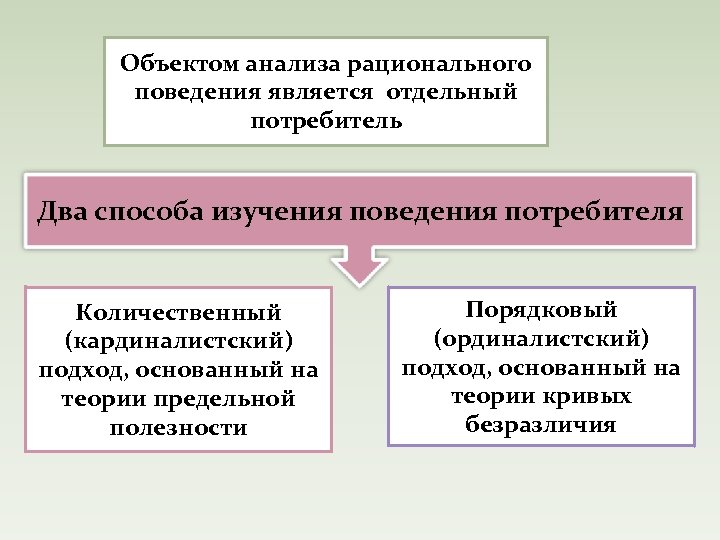 Объектом анализа рационального поведения является отдельный потребитель Два способа изучения поведения потребителя Количественный (кардиналистский)