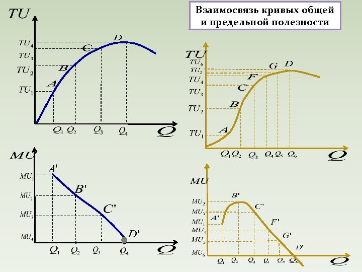 Взаимосвязь кривых общей и предельной полезности 