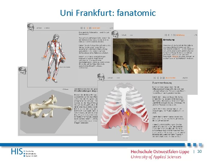 Uni Frankfurt: fanatomic | 30 
