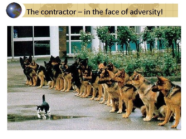 The contractor – in the face of adversity! 
