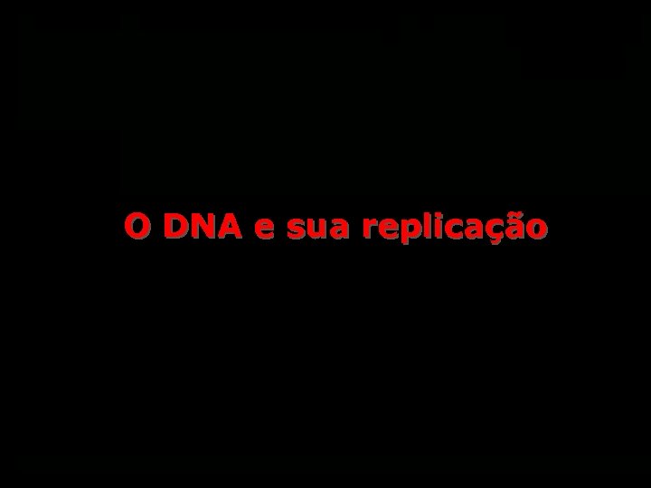 O DNA e sua replicação 