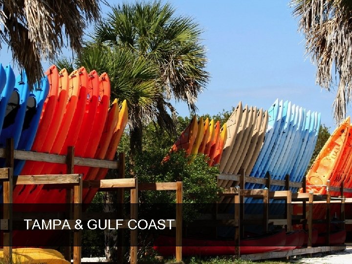 TAMPA & GULF COAST 