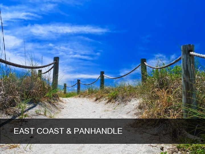 EAST COAST & PANHANDLE 
