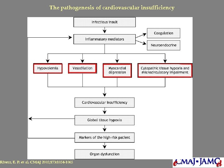 The pathogenesis of cardiovascular insufficiency Rivers, E. P. et al. CMAJ 2005; 173: 1054