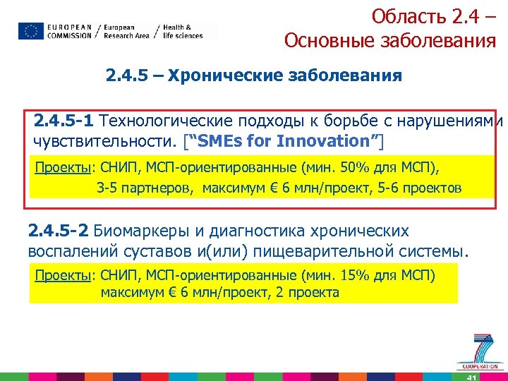 Область 2. 4 – Основные заболевания 2. 4. 5 – Хронические заболевания 2. 4.