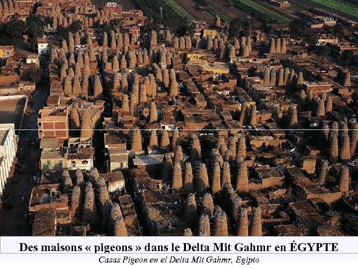 Des maisons « pigeons » dans le Delta Mit Gahmr en ÉGYPTE Casas Pigeon