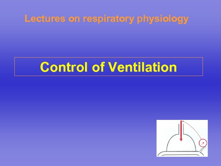 Lectures on respiratory physiology Control of Ventilation 