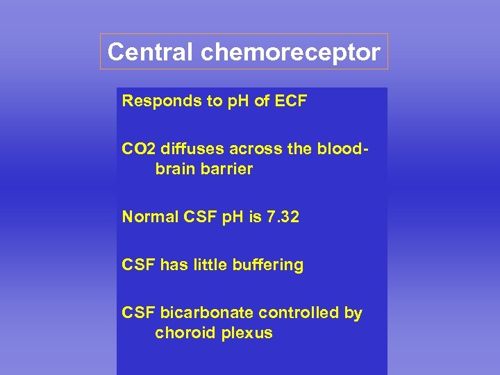 Central chemoreceptor Responds to p. H of ECF CO 2 diffuses across the bloodbrain