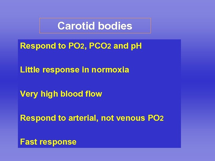 Carotid bodies Respond to PO 2, PCO 2 and p. H Little response in