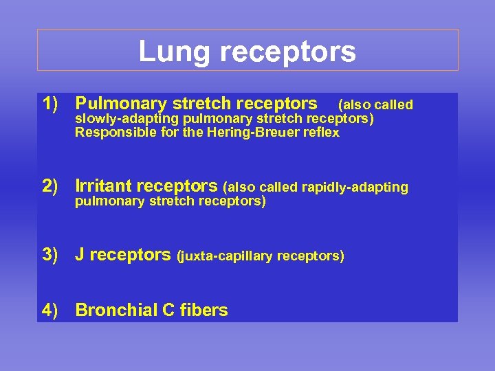 Lung receptors 1) Pulmonary stretch receptors (also called slowly-adapting pulmonary stretch receptors) Responsible for