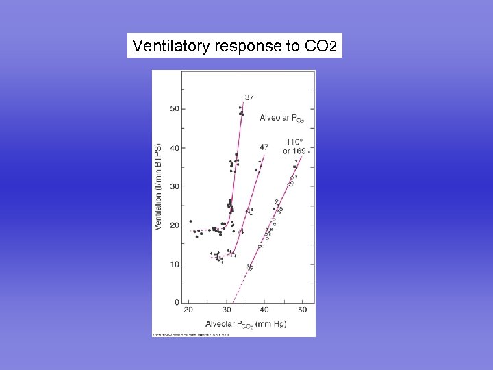 Ventilatory response to CO 2 