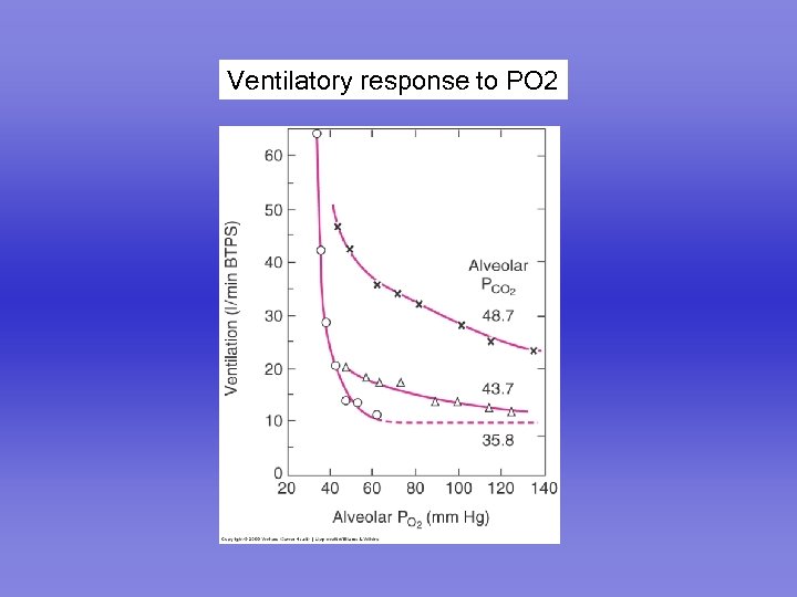 Ventilatory response to PO 2 