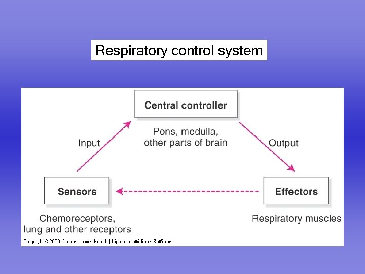 Respiratory control system 