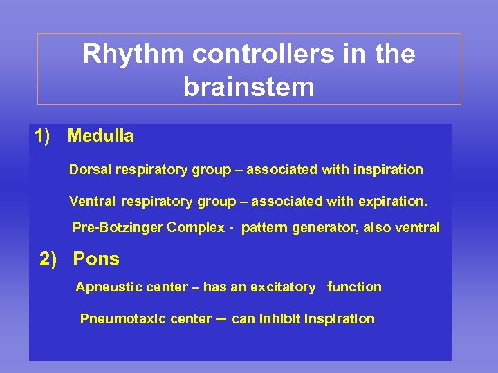 Rhythm controllers in the brainstem 1) Medulla Dorsal respiratory group – associated with inspiration