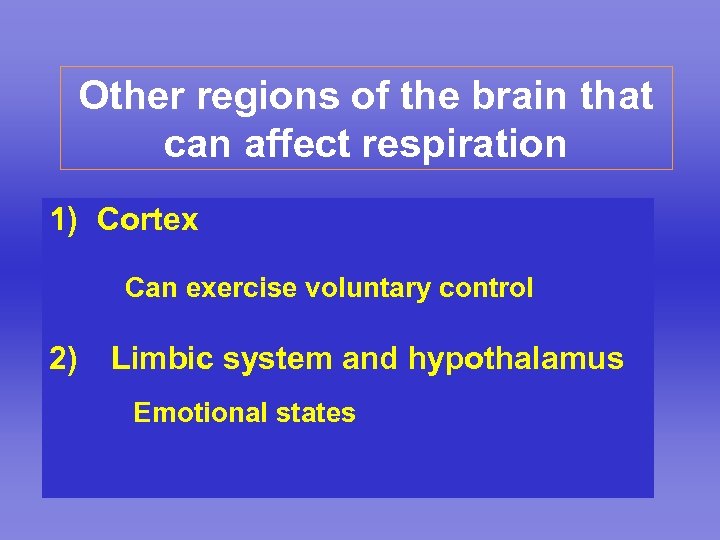 Other regions of the brain that can affect respiration 1) Cortex Can exercise voluntary