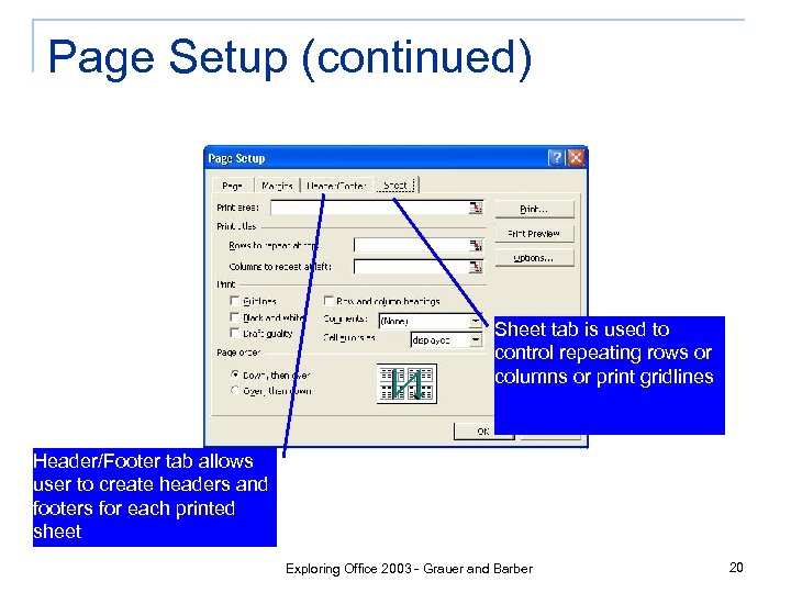 Page Setup (continued) Sheet tab is used to control repeating rows or columns or