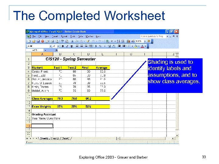 The Completed Worksheet Shading is used to identify labels and assumptions, and to show