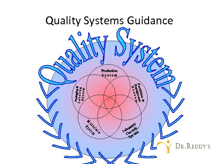 Quality Systems Guidance 