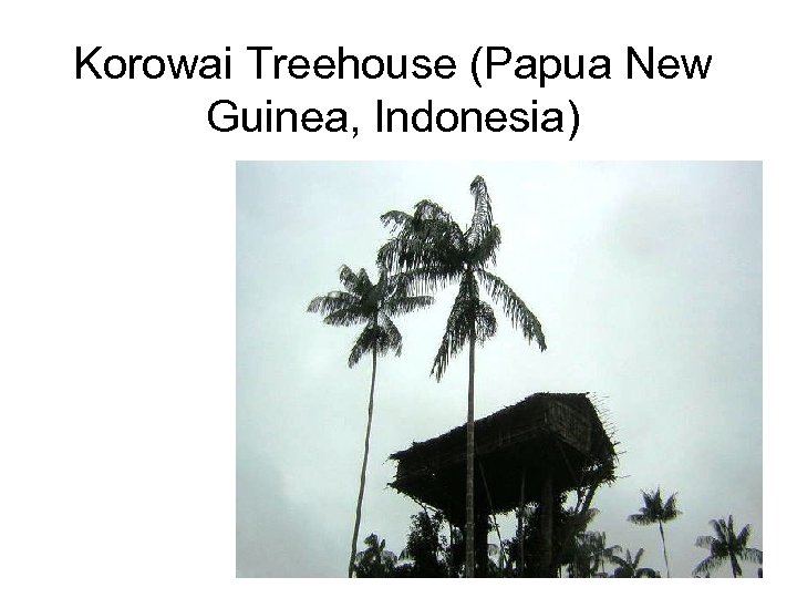 Korowai Treehouse (Papua New Guinea, Indonesia) 