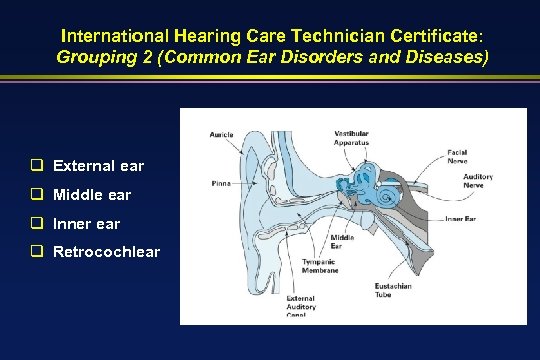 International Hearing Care Technician Certificate: Grouping 2 (Common Ear Disorders and Diseases) q External