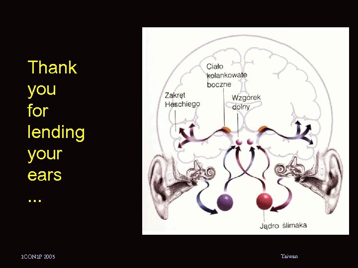 Thank you for lending your ears . . . ICONIP 2005 Taiwan 