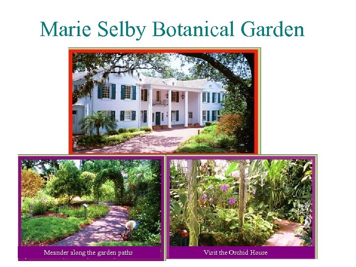 Marie Selby Botanical Garden Meander along the garden paths Visit the Orchid House 