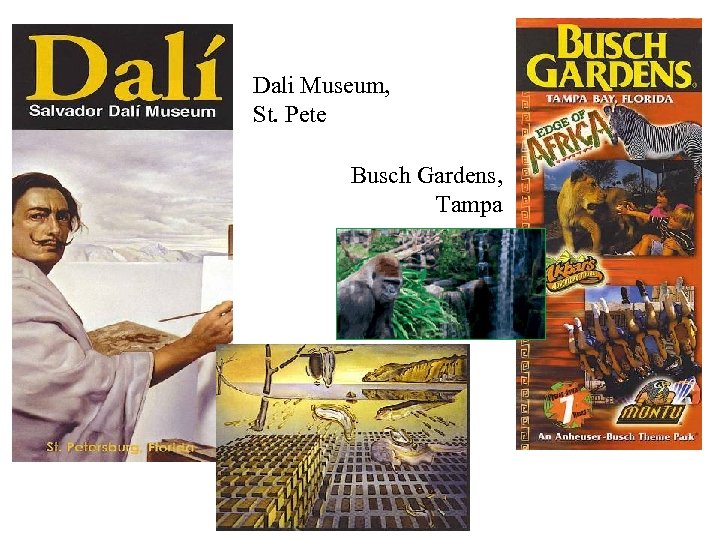 Dali Museum, St. Pete Busch Gardens, Tampa 