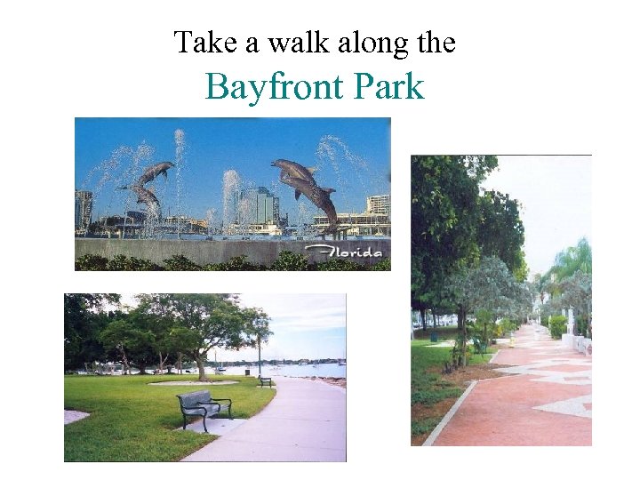 Take a walk along the Bayfront Park 