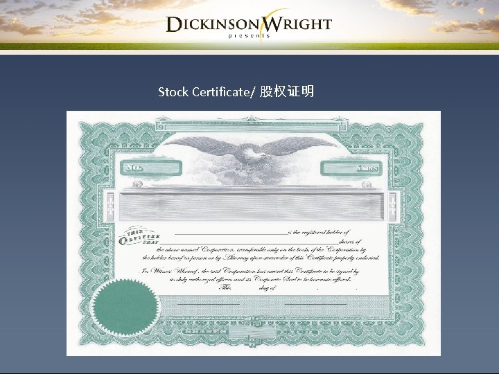 Stock Certificate/ 股权证明 