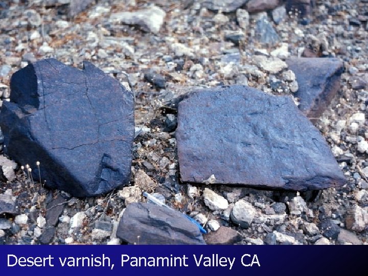 Desert varnish, Panamint Valley CA 