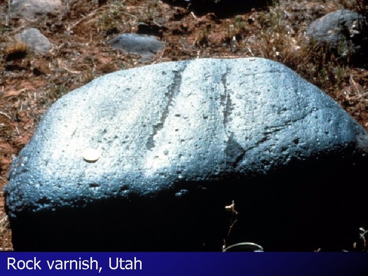 Rock varnish, Utah 