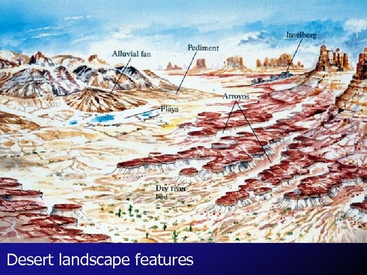 Desert landscape features 