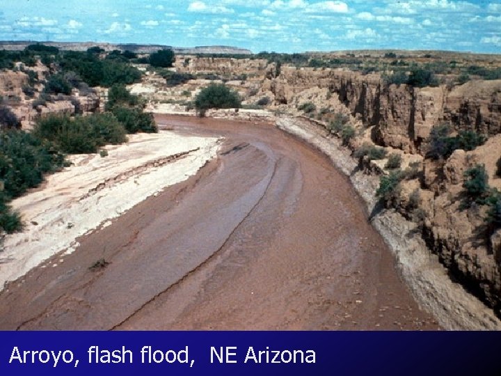 Arroyo, flash flood, NE Arizona 