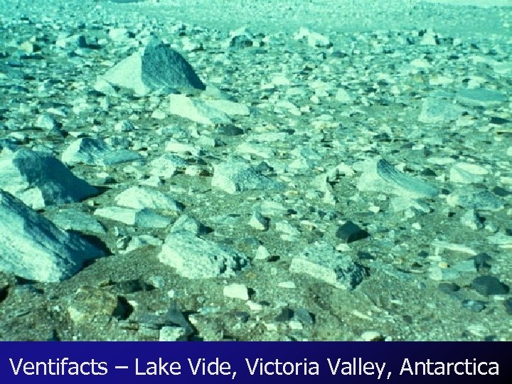 Ventifacts – Lake Vide, Victoria Valley, Antarctica 