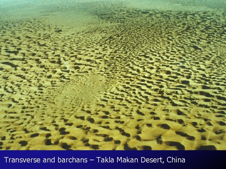 Transverse and barchans – Takla Makan Desert, China 