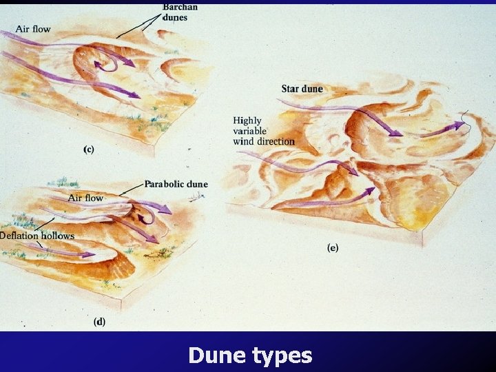 Dune types 