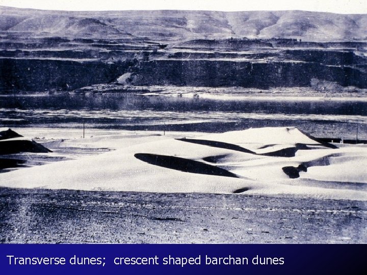 Transverse dunes; crescent shaped barchan dunes 