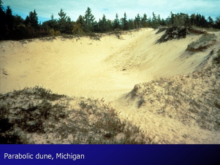 Parabolic dune, Michigan 