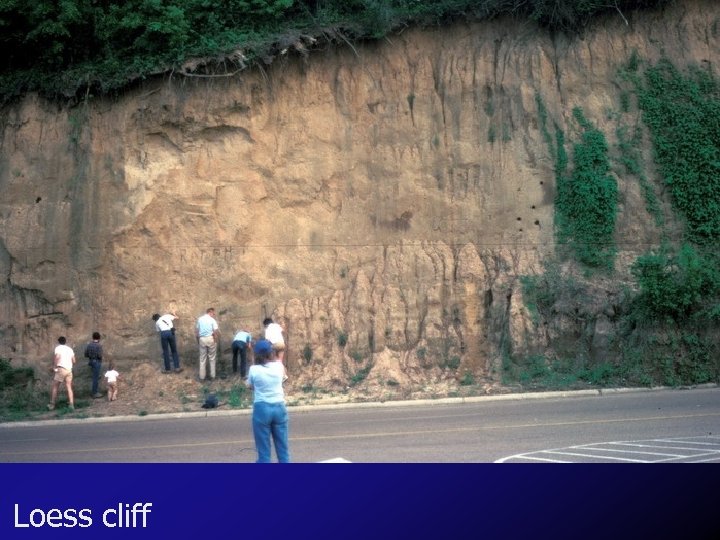 Loess cliff 